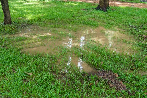 Cost of Storm Water Drainage Service in Norman