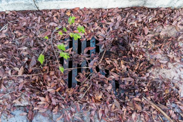 Cost of Yard Drain Unclogging in Norman