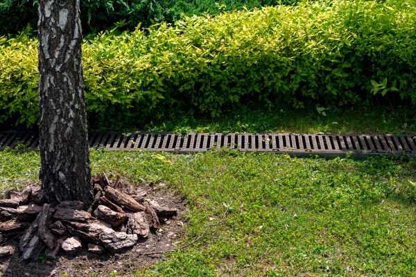 Cost of Wet Yard Drainage in Norman