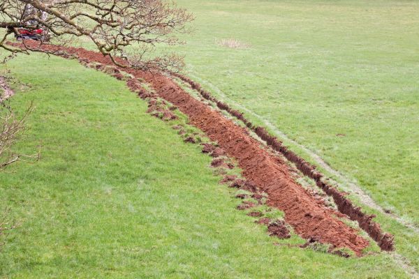Cost of Swale Installation in Norman
