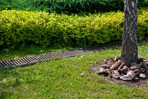 Cost of Residential Landscape Drainage in Norman