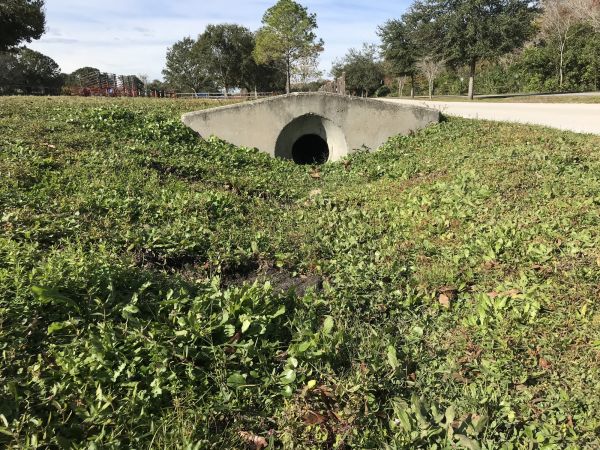 Cost of Swale Drainage Service in Norman
